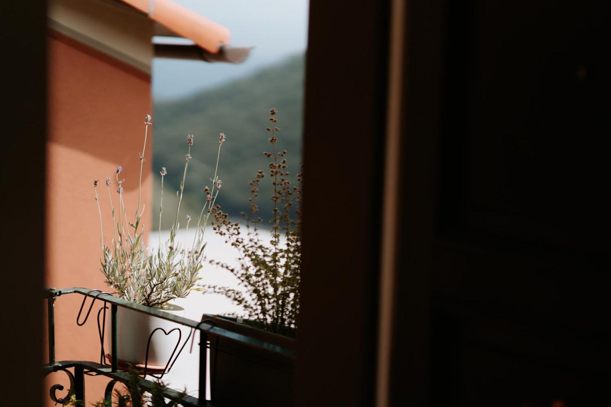 Il Castagno Holiday Home Teriasca المظهر الخارجي الصورة
